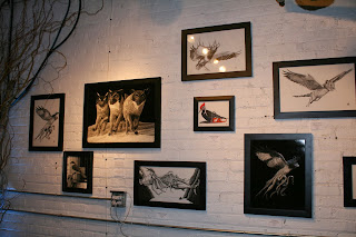 Merel-Gallery-Evolution-Show-2