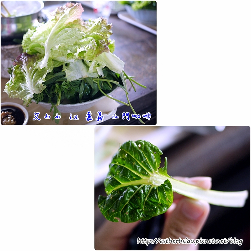 16 大量健康的野菜