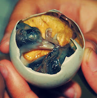 balut21  10 Makanan Pelik Dan Eksotik di Asia