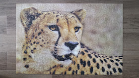 African cheetah 1000 pieces puzzle
