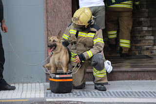 Explosión en una vivienda del barrio de San Vicente