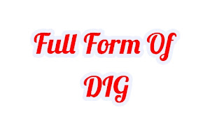 Full Form Of DIG