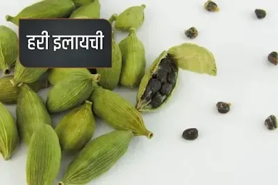 elaichi aromatic spice that used in dessert or sweet