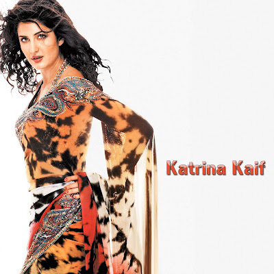 bollywood actress katrina kaif in hot saree photos+actressinhotsareephotos.blogspot.com