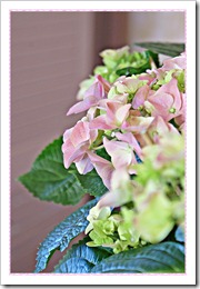 blog 12