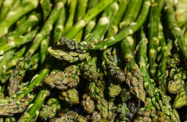 Can Dogs Eat Asparagus? Are Asparagus Safe For Dogs?