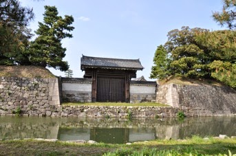 DSC 0195 2