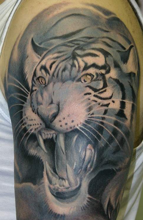 Tiger Tattoo on Arm Tiger Tattoo Design and Meaning