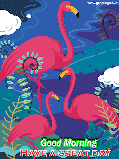 good morning flamingo birds illustration flamingo greeting