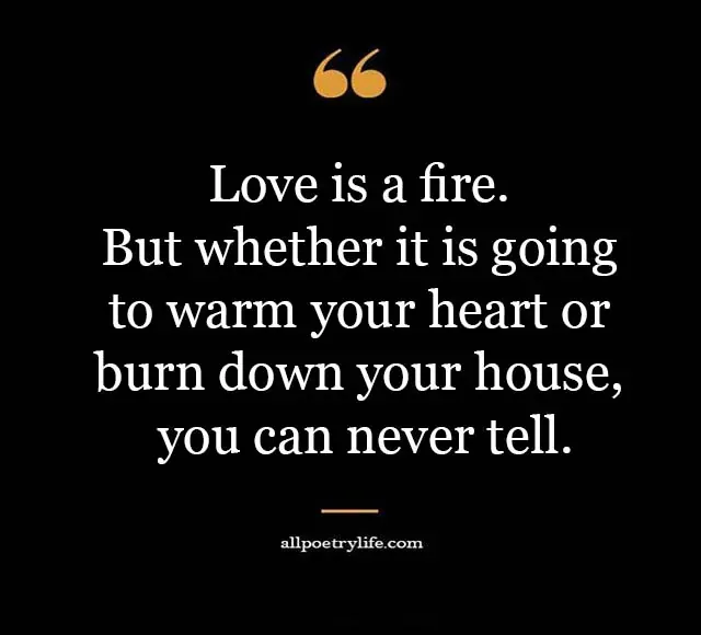 Funny-love-quotes-in-english