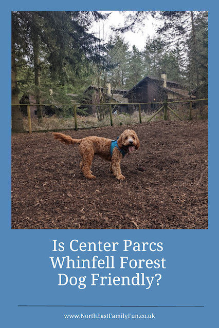 Is Center Parcs Whinfell Forest Dog Friendly?
