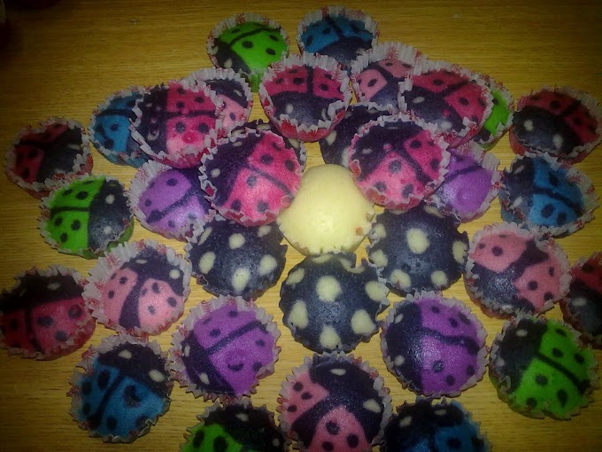 Apam Lady Bird