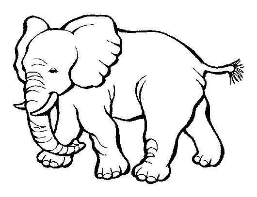 Baby Zoo Animals Coloring Pages