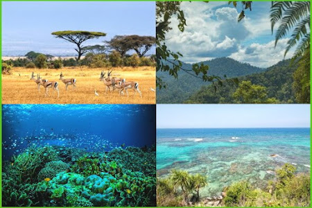10 Taman Nasional Indah dan Eksotis di Indonesia