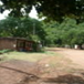 View album