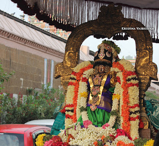 Sri Aandal,Aadipooram,Purappadu,Video, Divya Prabhandam,Sri Parthasarathy Perumal, Triplicane,Thiruvallikeni,Utsavam,