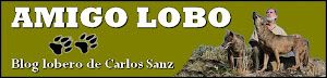 AMIGO LOBO. CARLOS SANZ