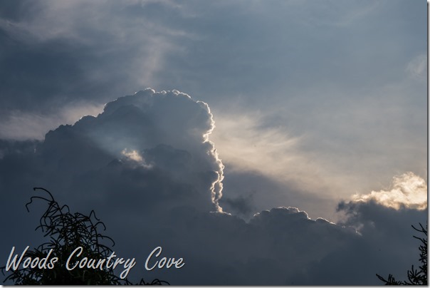 JUNE 2016 (5 of 47)