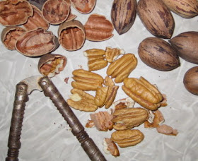 I actually got some pecans this year.