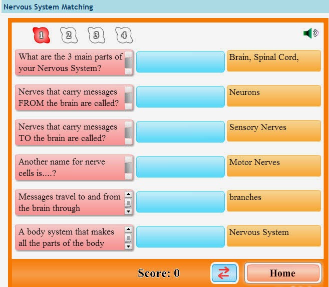 http://www.softschools.com/matching_games/science/nervous_system/880/