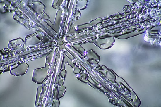 The World’s Largest Snowflake - Top 10 Fascinating Facts About Snow