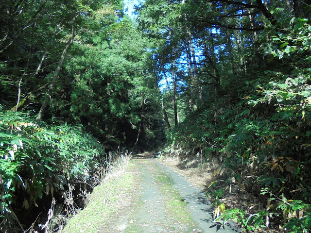 左側に谷川があります右の山の上が牧草地だと思います