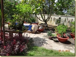 DSC06791