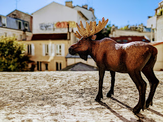 Moose In Butte-aux-Cailles