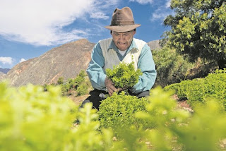 Perú: Presentan Proyecto de Ley que promueve la inclusión de productores agrarios a través de cooperativas