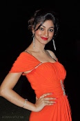 Shilpi Sharma Photos at Green Signal Audio-thumbnail-19