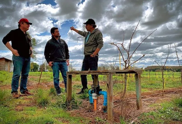 Contratación de seguros agrícolas registra alza de 25% en Los Lagos