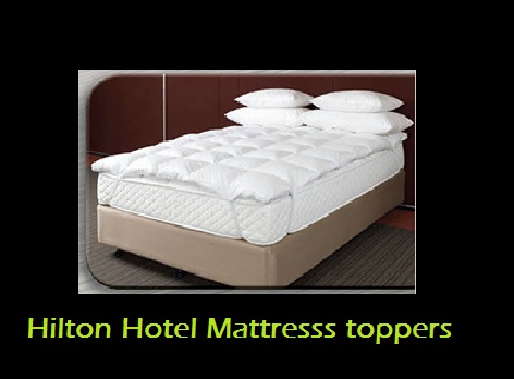 http://hotelathome.com.au/Hilton-Hotel-Airball-Mattress-Topper-King--P1507260.aspx