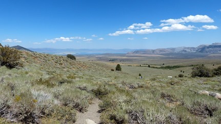 P1040881