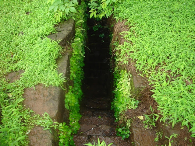 Sudhagad fort