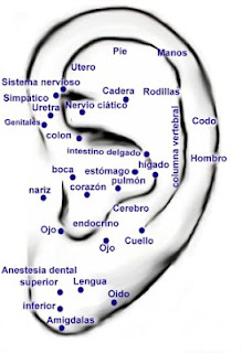 auriculoterapia puntos