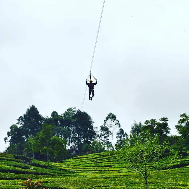 Menjelajah Zona Petualangan di Kolam Air Panas Walini Ciwidey: Sensasi Hangat Berpadu Adrenalin