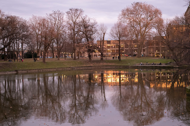 Zwinger (parco)-Dresda