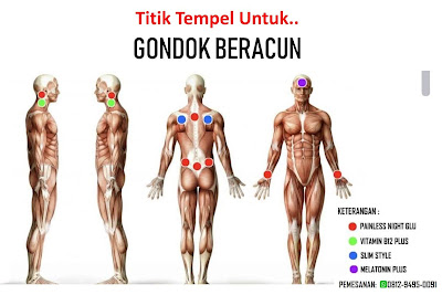 Kata Bijak Ads | Titik Tempel Koyo Turki Untuk Gondok Beracun