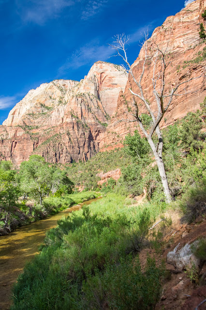 Angel's Landing, Zion National Park