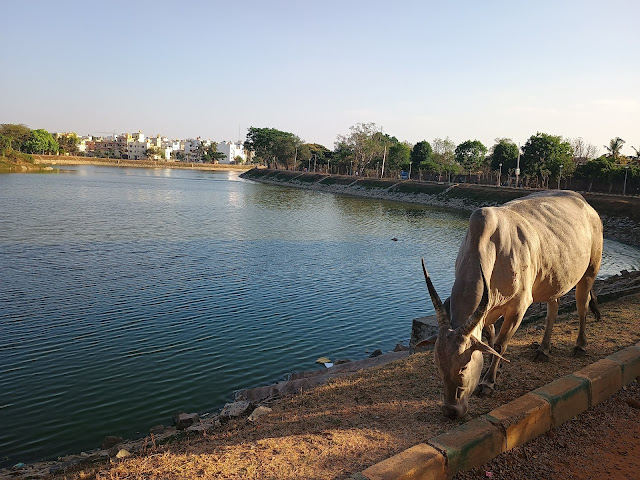 Anjanapura scenic lake getaway