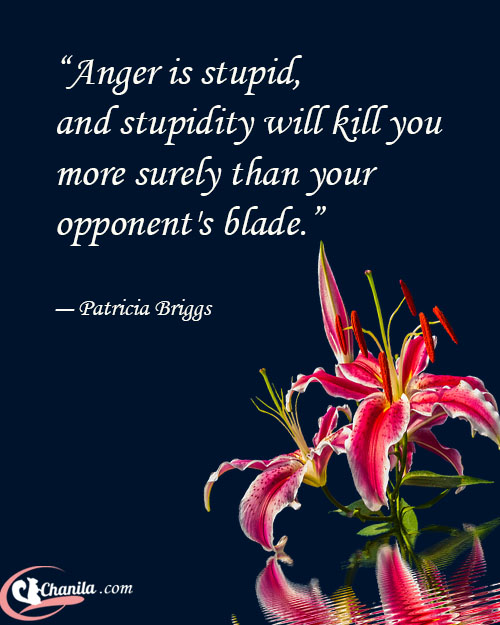 40+ Best Anger Quotes on Beautiful Images to Explore