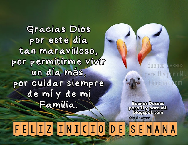 Gracias DIOS por este día tan maravilloso y por permitirme vivir un día más, por cuidar siempre de mí y  de mi familia.  FELIZ INICIO DE SEMANA!