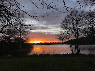Sunset, Lake, Walk, Surrey