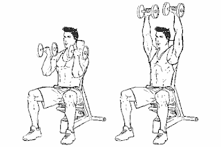 2. Dumbbell Arnold Press