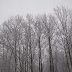 雨和雪