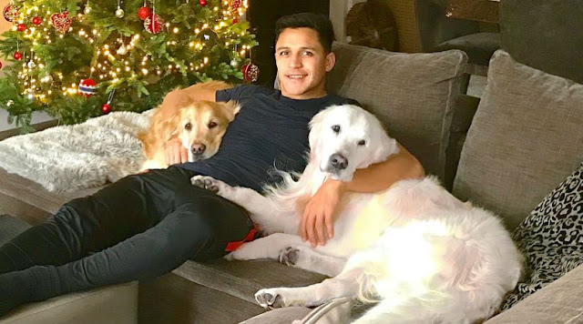 Alexis Sanchez's and His Dogs (Atom & Humber)