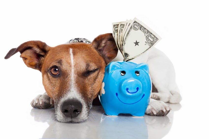 save money on pet care