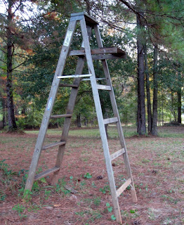 wooden garden shed shelving