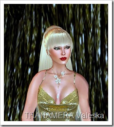 ScreenShot049