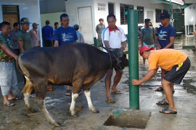 Masjid Dijadikan Tempat Memotong Hewan Qurban